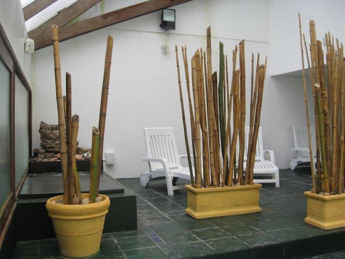 אפרטהוטל פונטה דל אסטה Club Sol Del Este מראה חיצוני תמונה